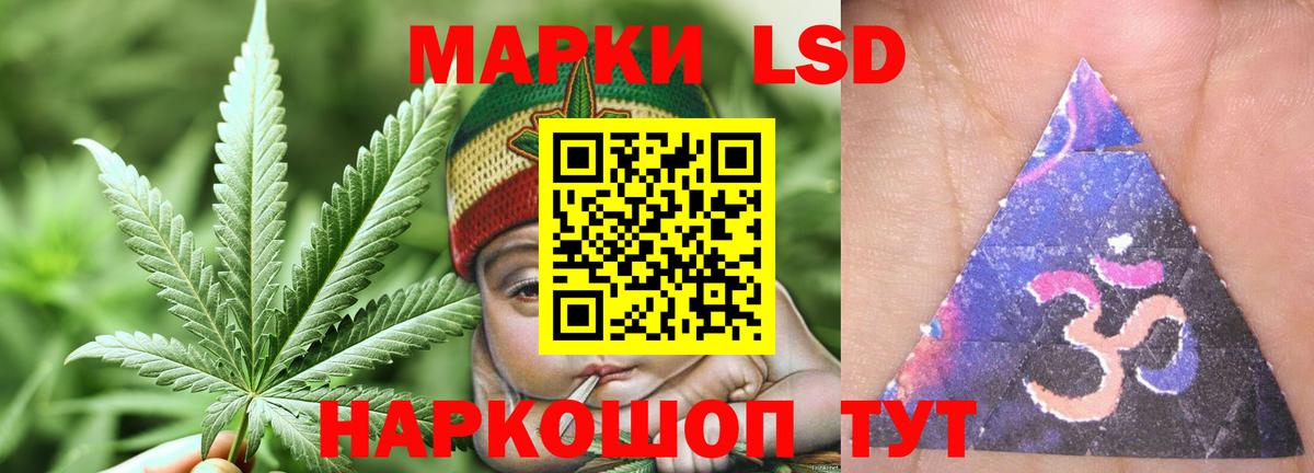 Галлюциногенные грибы Майкоп
