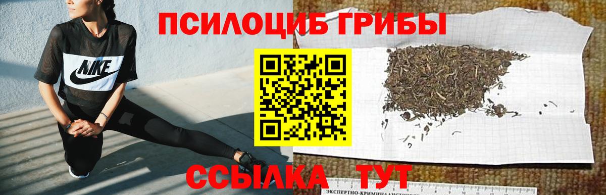 Галлюциногенные грибы мицелий  Вход с VPN  Галлюциногенные грибы мицелий  Майкоп 