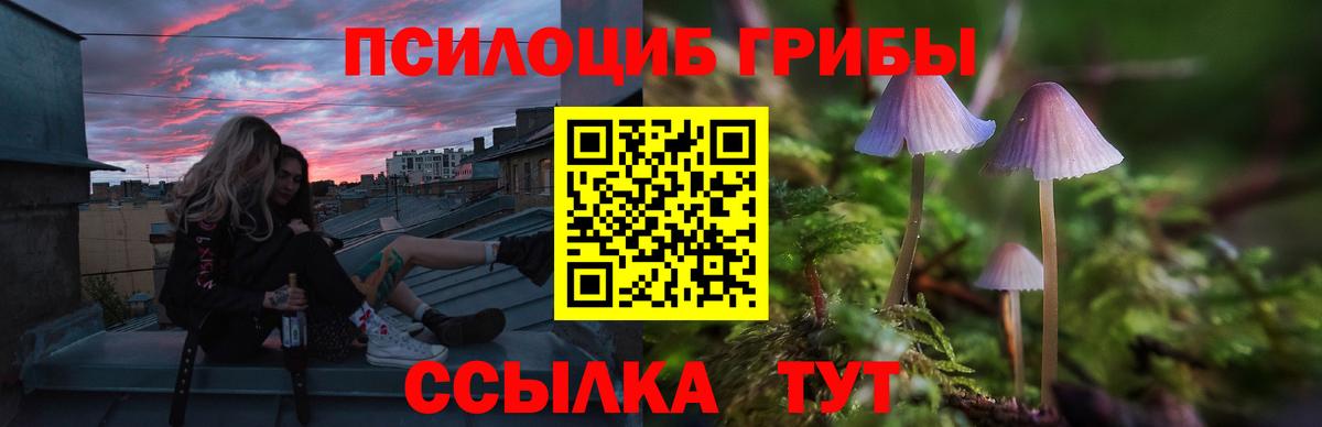 Галлюциногенные грибы ЛСД Майкоп